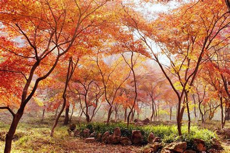 南京山|栖霞山风景名胜区